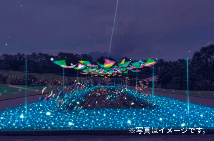 雪の道／LUMI WAY