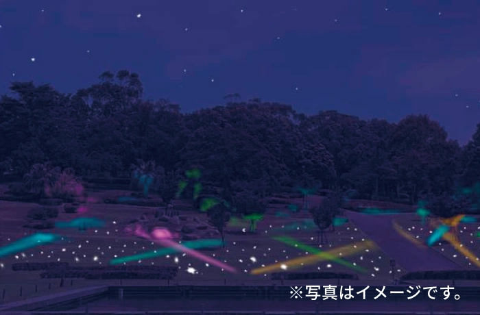 星の誕生ゾーン