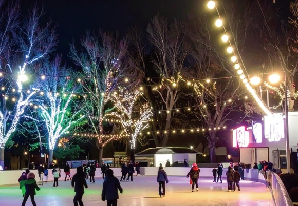 鹿児島イルミネーションイベント_メインビジュアル