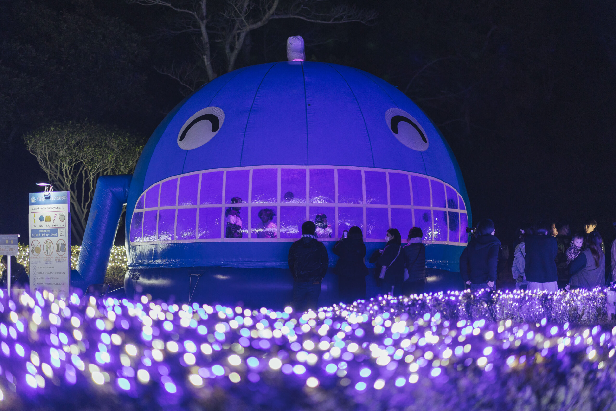 イルミネーションふわふわ